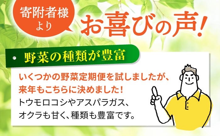 野菜 フルーツ 果物 定期便 旬 新鮮 詰合せ 野菜セット フルーツ定期便