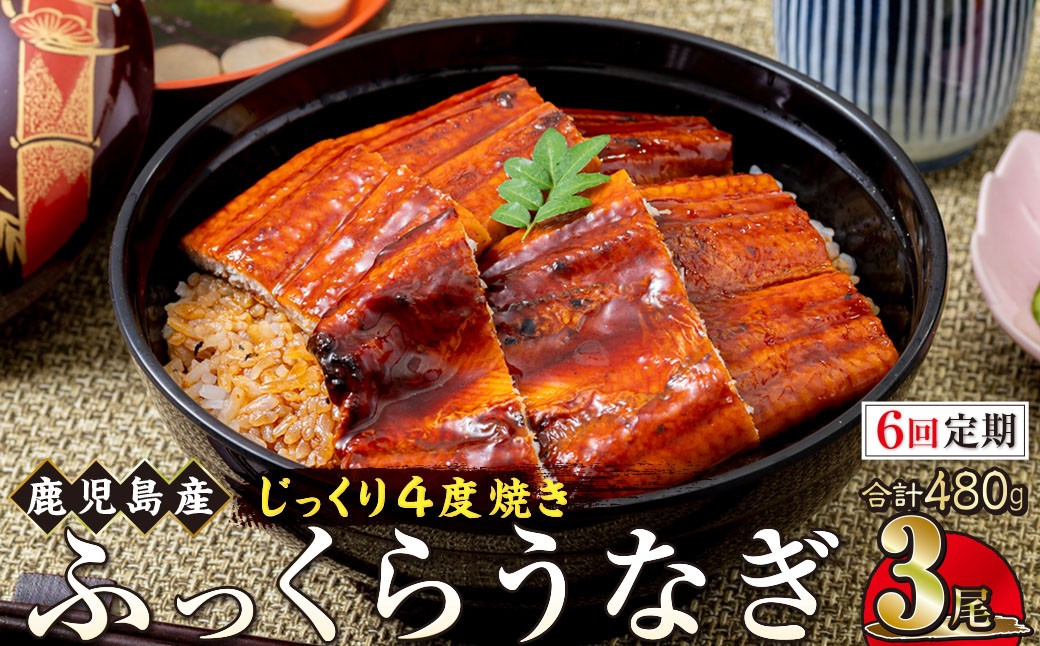 
【6回定期】うなぎ 蒲焼 160g×3尾【鹿児島産】地下水で育てた絶品鰻

