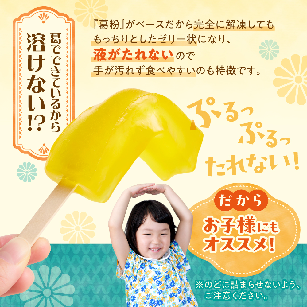 【溶けないアイス】くずバー（6味×3本）