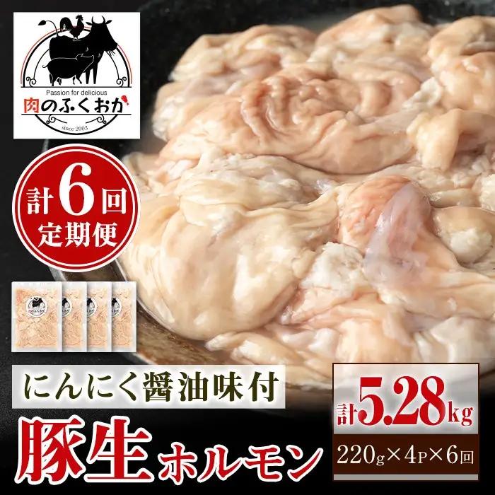 ＜定期便・全6回＞豚生ホルモンにんにく醤油味付(計5.28kg・220g×4P×6回) 鹿児島 豚肉 ホルモン 生ホルモン にんにく 醤油 おかず 加工品 味付け おつまみ 小分け パック 冷凍 冷凍食品 お弁当【肉のふくおか】C79011