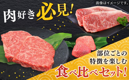 佐賀牛ステーキセット 計400g（100g×4枚）/ モモ ロース サーロイン ステーキ / 佐賀県 / 株式会社中山牧場[41AOCW001]