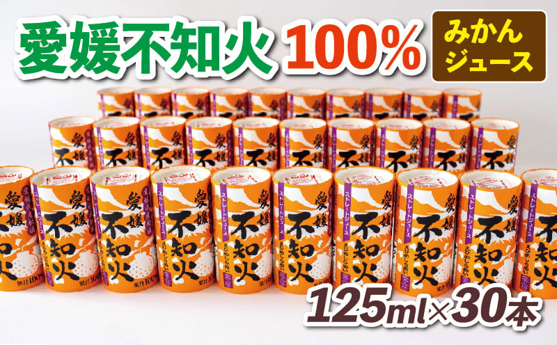 
            みかんジュース 愛媛 不知火 125ml ×30本 愛工房 100％ ジュース 紙パック フルーツ ジュース ストレートジュース 蜜柑ジュース みかん mikan 蜜柑 愛媛みかん しらぬい 果汁100％ 飲料 柑橘 スイーツ 果物 くだもの 産地直送 国産 宇和島 H020-034003
          