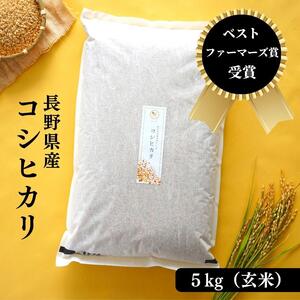 コシヒカリ 玄米 5kg 令和8年産 コシヒカリ