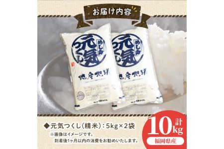 果物屋さんが選んだ米「元気つくし」(5kg×2袋・計10kg)お米 白米 10キロ ごはん ご飯 常温 常温保存【ksg0167】【南国フルーツ】