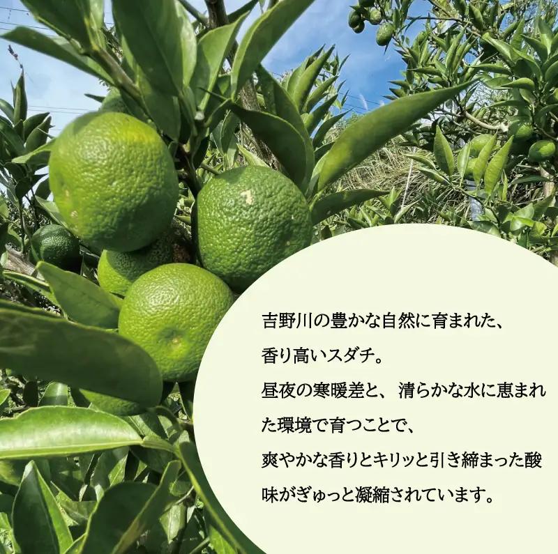 訳あり すだち 2kg サイズ不揃い 家庭用