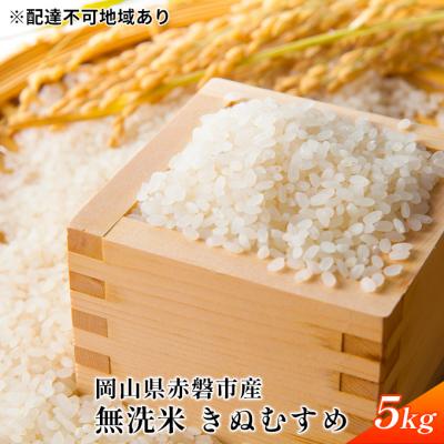ふるさと納税 赤磐市 令和7年度産　無洗米 きぬむすめ 5kg 白米 お米 岡山 赤磐市産[NO5765-0892]