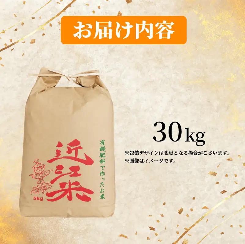 【 令和8年産  】 新米 みずかがみ 30kg 白米 米 R8 年産 ミズカガミ 2026年産 国産 農家直送 環境こだわり お試し用 単品 小分け 単品 お米 こめ おこめ ライス コメ 精米 お