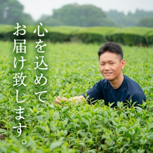 ＜お茶生産量日本一の鹿児島県産！＞飲料 お茶 緑茶  煎茶 セット 山口園  茶葉 お茶屋 (煎茶100g×14本・合計1.4kg) 【お茶の山口園】B108-v01
