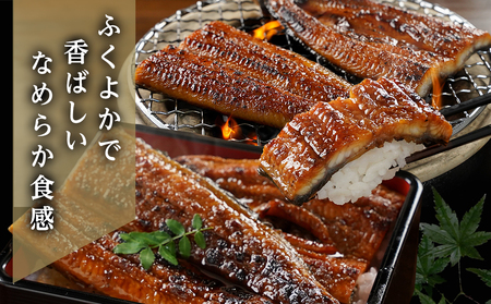 【丑の日】職人手焼きの本格うなぎ蒲焼き4尾≪7月20日～25日お届け≫〔AD-33-003-4-UG〕_ (都城市) 国産 本格 うなぎ 鰻 蒲焼 うなぎ 土用の丑の日