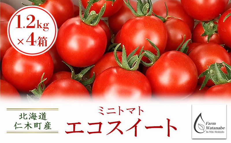 [先行受付/2025年産][栽培期間中 農薬・化学肥料不使用] 北海道 仁木町産 ミニトマト エコスイート 1.2kg×4箱 サイズ混載 トマト野菜 やさい  [Farm Watanabe]
