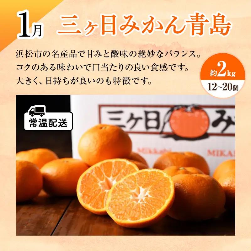 【2027年1月中旬より発送】浜松市の柑橘定期便 4回（1月～4月）三ヶ日みかん青島・せとか・不知火・グレープフルーツ
