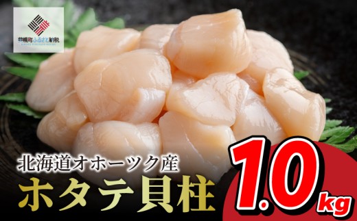 北海道オホーツク産 ホタテ貝柱 1kg 冷凍 人気 おすすめ ランキング 魚介 海鮮 帆立 ほたて ホタテ 帆立貝柱 ほたて貝柱 ホタテ貝柱 貝柱 貝ばしら ホタテ刺身 刺身 お刺し身 オホーツク 北海道 美幌町 【配送不可地域：離島】