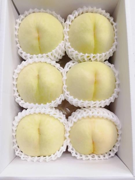 岡山白桃　約1.5kg（6玉前後）