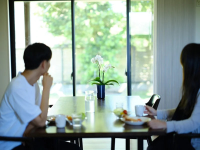 小さな 胡蝶蘭 2本立ち 鉢 付き 1鉢 ranto Lサイズ 【 胡蝶蘭 】