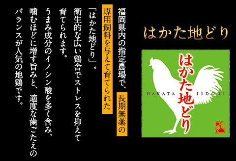 はかた地どり むね肉(約1kg)《30日以内に出荷予定(土日祝除く)》---sc_fhktbmune_30d_22_10500_1000g---