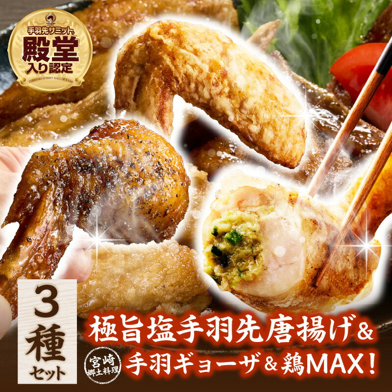 【ふるさと納税】【レンジでチンするだけ♪】極旨塩手羽先唐揚げ＆手羽ギョーザ＆鶏MAX！セット もも肉 鶏皮 せせり なんこつ 手羽餃子 餃子 手羽先唐揚げ 唐揚げ 手羽 鶏 鶏肉 総菜 おかず おつまみ 調理済み 冷凍 人気 おすすめ 国産 お祝い ご褒美 宮崎県 小林市 送料無料