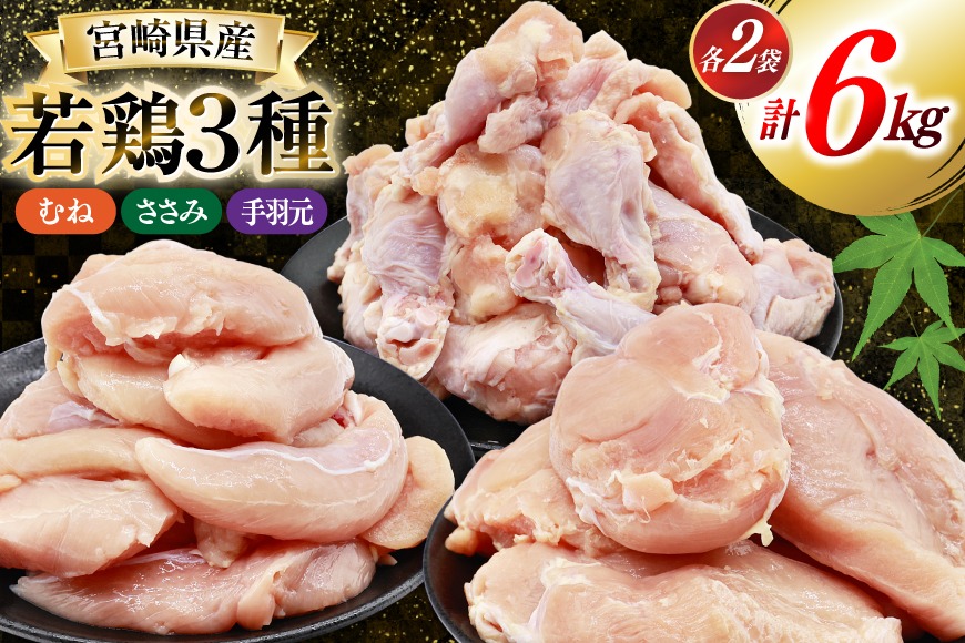 鶏肉 詰め合わせ 宮崎県産 若鶏 むね肉 ささみ 手羽元 セット 各1kg 2p 計6kg [九州児湯フーズ 宮崎県 美郷町 31ai0022] 小分け むね 鶏むね肉 鶏むね 手羽 ササミ 冷凍 真空パック