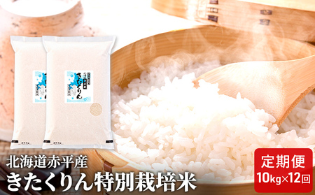 きたくりん 精米 特別栽培米 きたくりん【10kg(5kg×2袋)】【定期便12回】