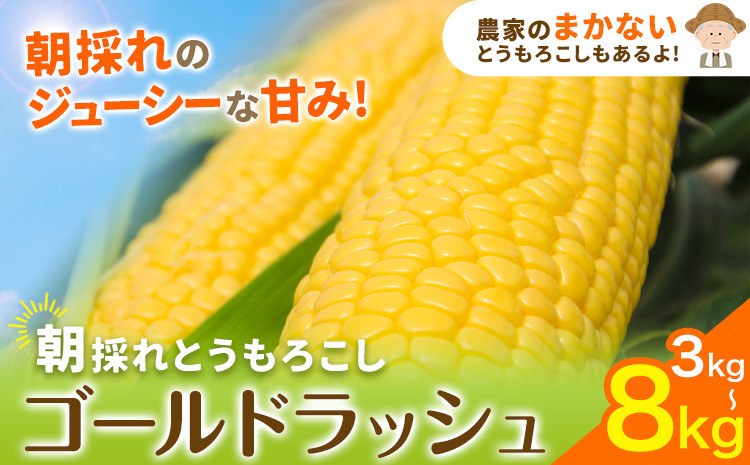 
            とうもろこし 野木町産 老沼 利治《6月中旬-7月中旬頃出荷》栃木県 野木町 ジューシー 生食可能 旬の野菜 健康食 バーベキュー 焼き 茹で とうもろこし ゴールドラッシュ 黄色 イエロー 朝採れ クール便 先行予約 野菜 スイートコーン コーン
          