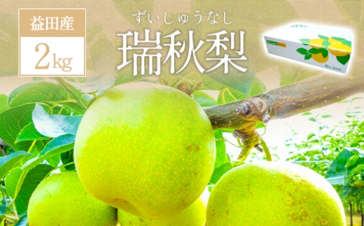 A-937 瑞秋梨　2㎏