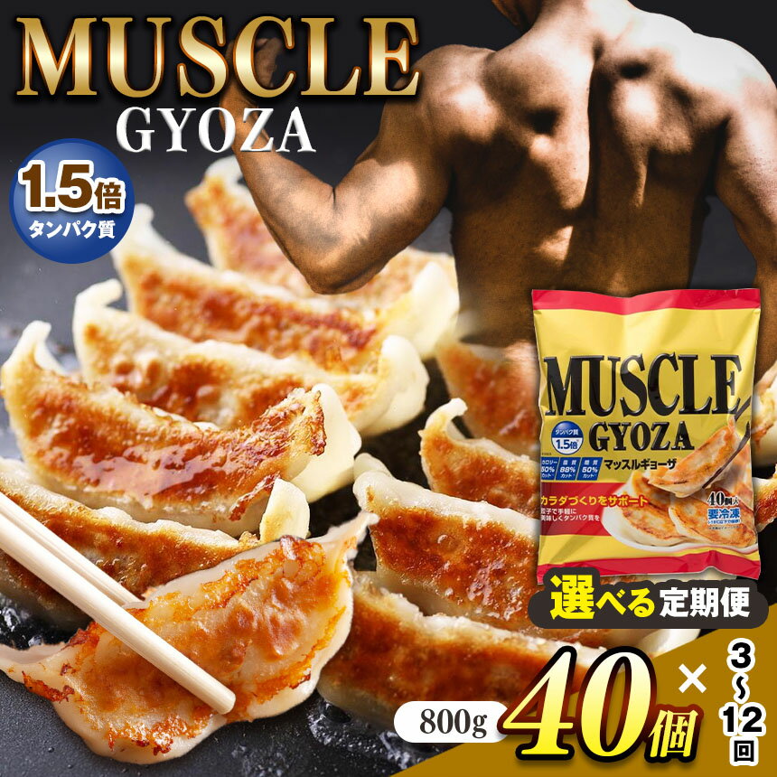 【ふるさと納税】【選べる定期便】　MUSCLE GYOZA ～マッスルギョーザ～ | 餃子 ギョーザ低糖質 マッスルギョーザ 長野県 松本市