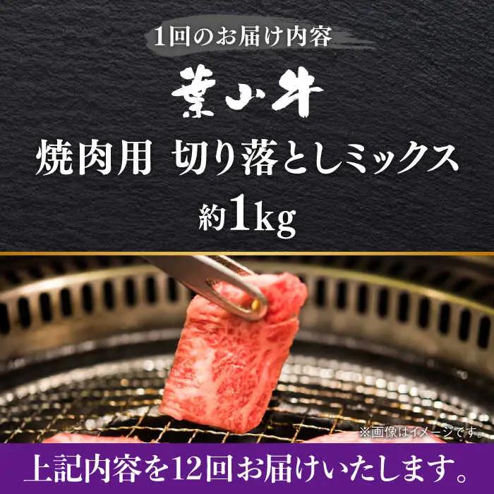 【全12回定期便】葉山牛1kg　焼肉用ミックス 牛肉（ロース、モモ、カルビ等 4種類 ) 食べ比べ[ASBD036]