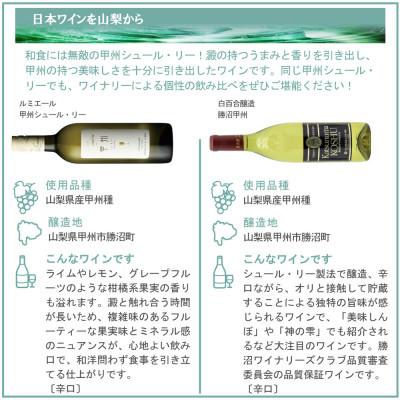 ふるさと納税 山梨県 甲州シュール・リー 6本セット |  | 03