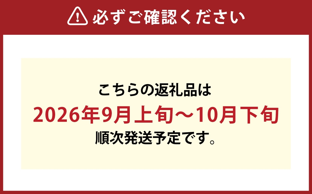 晴王つる付きシャインマスカット2房露地栽培