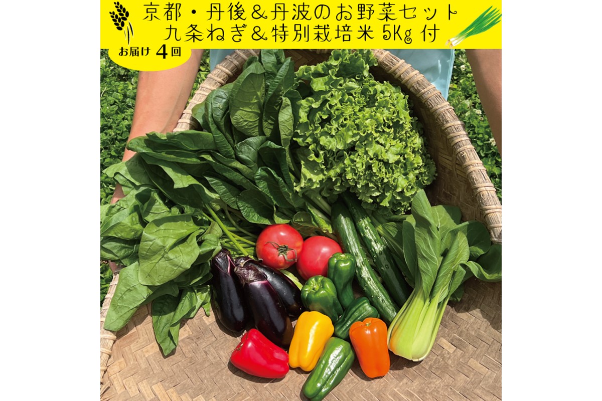 【定期便】合計4回お届け　有機野菜・京野菜の『京都やおよし』の京丹後・亀岡市お野菜＆九条ねぎ＆お米5kg（丹後コシヒカリ特別栽培米）詰め合わせ※北海道、離島、沖縄地域への発送不可　AA00016