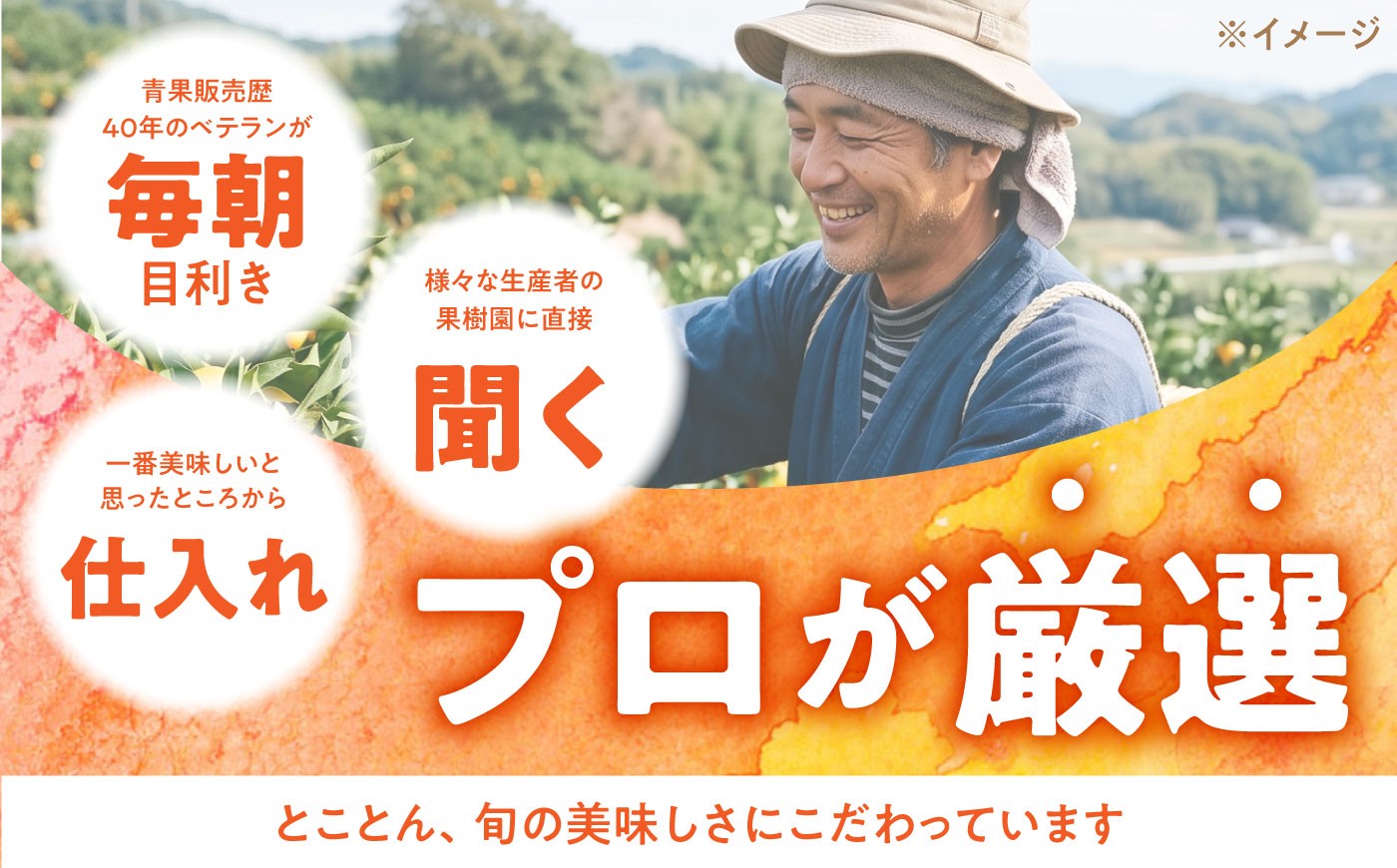 果物定期便 フルーツ 定期便 果物 春フルーツ 夏フルーツ 秋フルーツ 冬フルーツ 果物 フルーツ 果物定期便