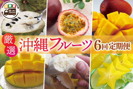 【全6回定期便】厳選！沖縄フルーツ定期便 (AC024)