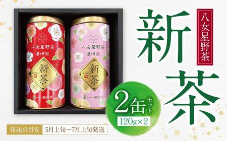 W26-18R01 【母の日】新茶 八女星野茶 120g×2本
