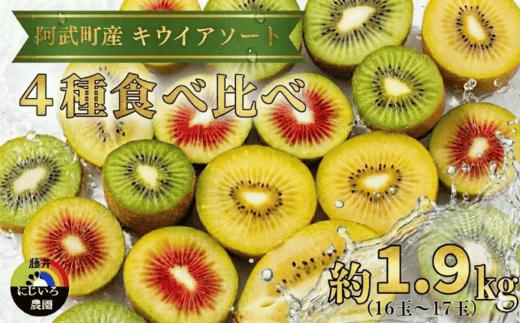 
                  【先行予約】キウイ フルーツ 食べ比べセット 約1.9kg （ 4種アソート ） 阿武町産 希少品種を厳選！ 旬の味 を堪能 フルーツ 果物 デザート 山口県産 【お届け：2026年11月中旬～2027年2月下旬】※品種指定不可
                