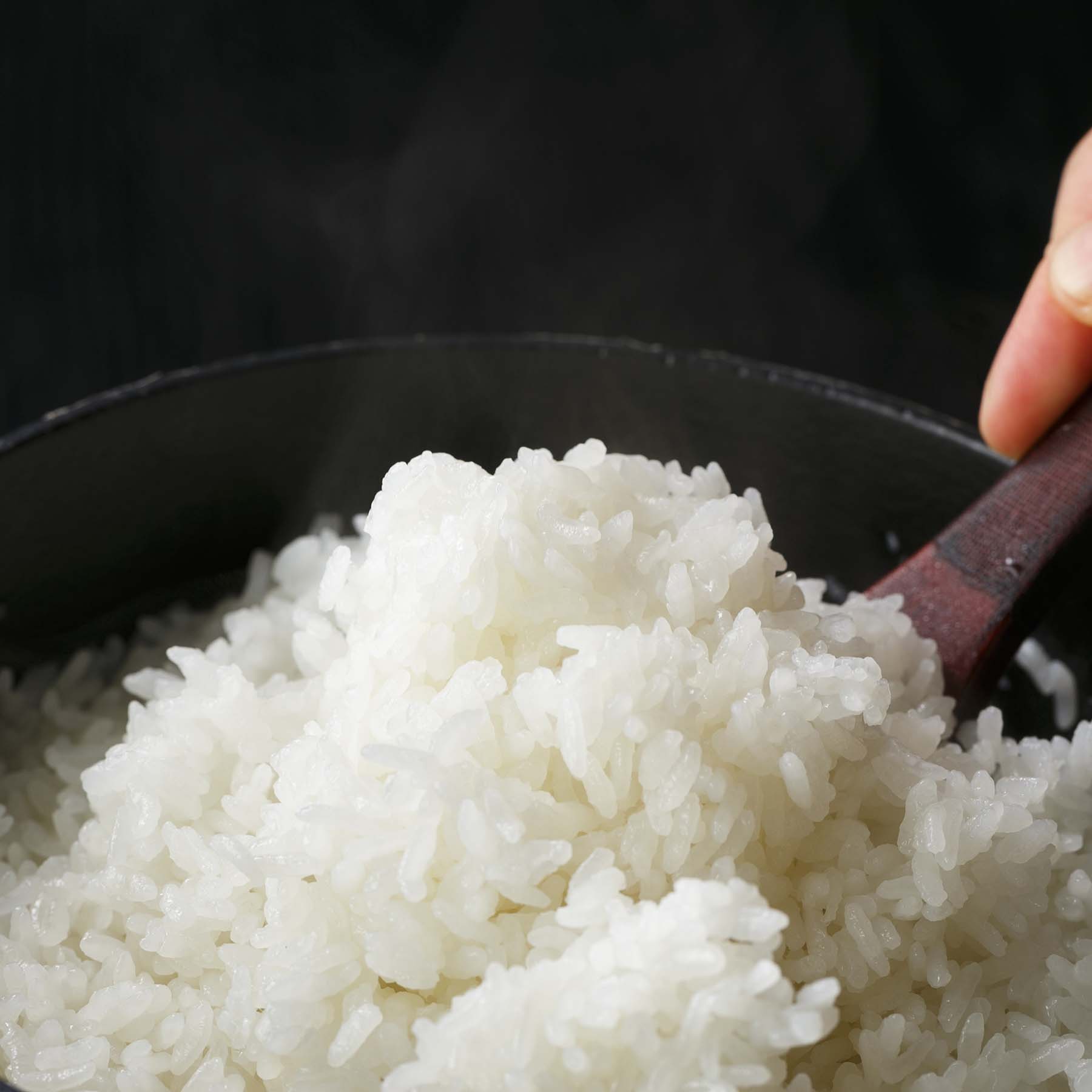 こだわり特別栽培米セットA 5kg×2袋 定期便3回