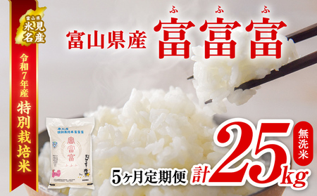 〈5ヶ月定期便〉令和7年産 富山県産 特別栽培米 富富富５kg 無洗米 ｜ふふふ 富富富 定期便 5ヶ月 毎月 25kg お米 白米 精米 氷見 富山 米 国産 特別栽培 5kg エコファーマー 数量限定 期間限定 プレミアム ブランド米 特別栽培米 安心 環境にやさしい 新米 