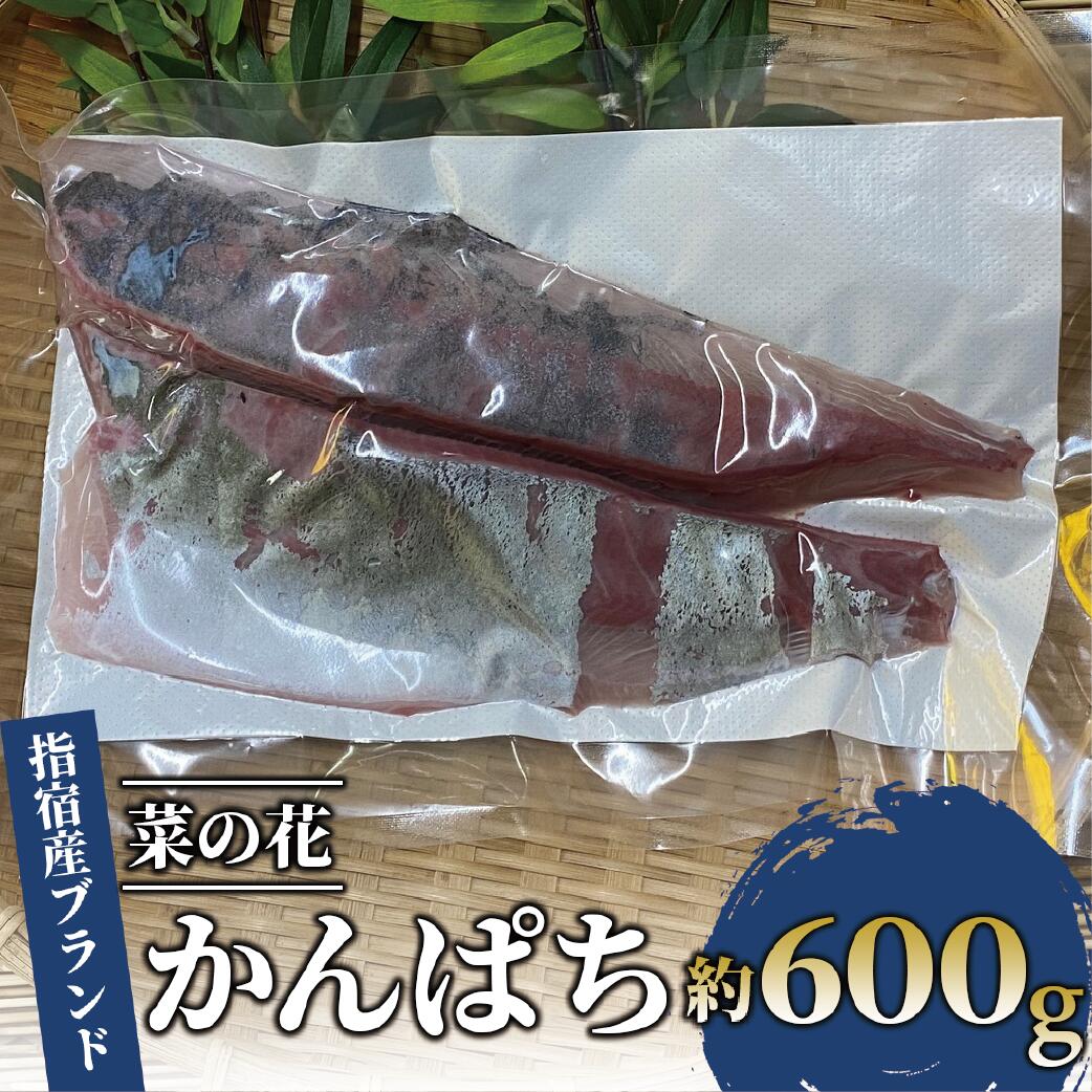 【ふるさと納税】朝〆発送！菜の花かんぱちフィレ1パック半身(約600g) かんぱち カンパチ 刺身 刺し身 さしみ 冷凍 真空パック 海鮮 魚 【指宿山川水産合同会社】