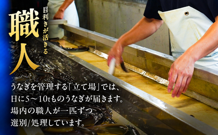 【期間限定】 鹿児島県 大隅産 うなぎ 蒲焼 4尾（400g） KN007-023 国産 本格 鰻 ウナギ 冷凍 惣菜 総菜 湯煎 レンジ 解凍 簡単調理 鰻丼 鰻重 ひつまぶし 魚 土用の丑 小分け