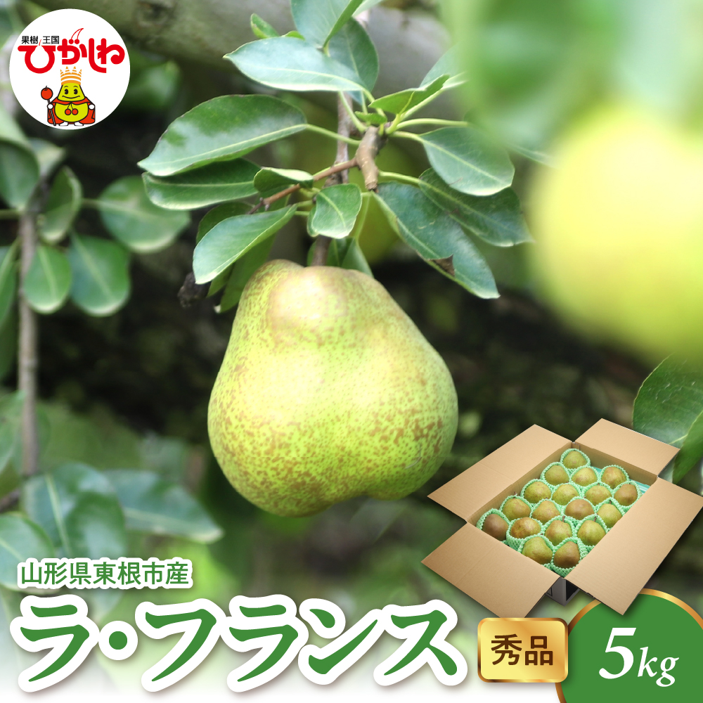 【2026年産】 ラ・フランス 5kg（8-25玉） 秀品 山形県 東根市 千笑花夢提供 hi082-022-r8 5kg（8-25玉）
