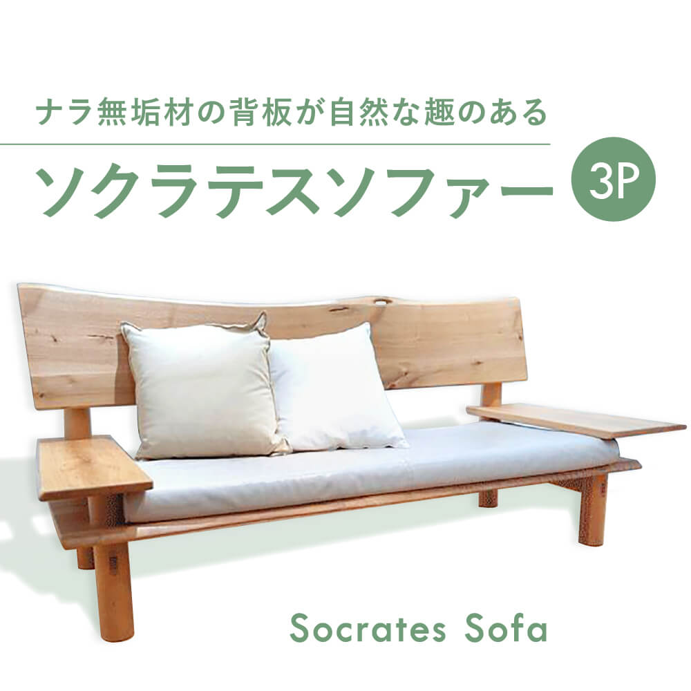 【ふるさと納税】 ソクラテスソファー 3P 奈良市 なら