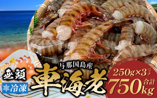 こだわりの車海老　無頭車海老（冷凍）250ｇ×3パック F010｜沖縄県 与那国町 与那国 車海老 車エビ 海老 えび エビ 産地直送