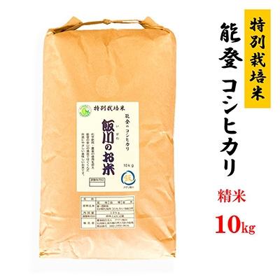 ふるさと納税 七尾市 【令和7年産】能登のコシヒカリ　飯川のお米　10kg(精米10kg×1袋)