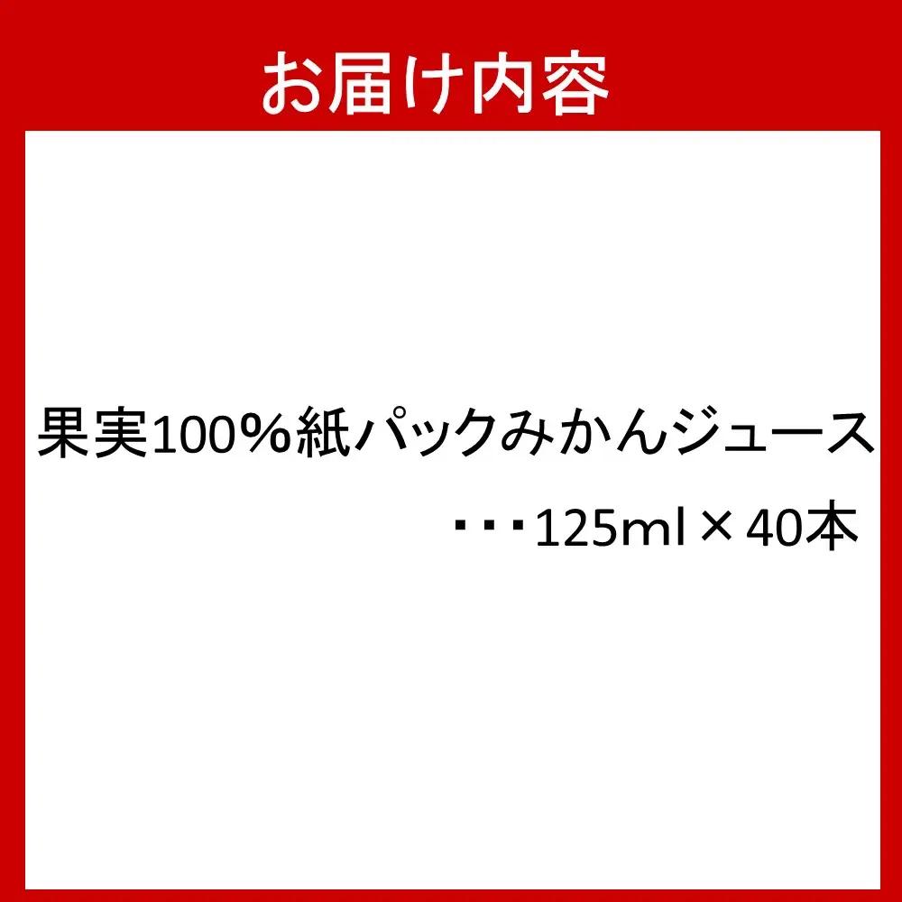 果汁100％紙パック みかんジュース 125ml×40本 【数量限定】_1521R