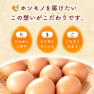 卵 こだわり家族のこだわり卵 30個 セット 6ヶ月 定期便 安芸高田市 たまご 鶏卵 6回