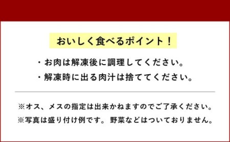 加工 スッポン 冷凍肉 約1,400g（約700g×2セット）