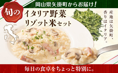矢掛町自慢のイタリア野菜2品目＆リゾット米1kg《1月上旬-3月末頃出荷》
