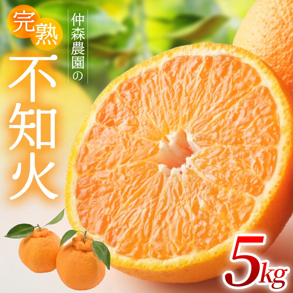 【ふるさと納税】 【数量限定】仲森農園の完熟不知火 5kg みかん ミカン mikan 蜜柑 柑橘 しらぬい 不知火 フルーツ 果物 くだもの 旬 甘い 産地直送 期間限定 三重県 熊野市 2月 3月 送料無料【2026年2月～4月頃で順次発送】