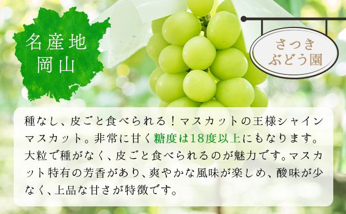 ＜2025年発送分 先行予約＞シャインマスカット 1.2kg以上（2〜3房）［025-a010］