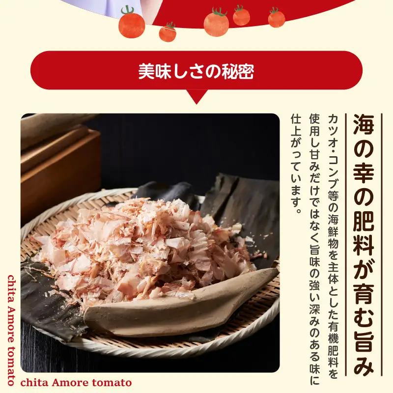 【先行予約】《11月中旬以降発送開始》有機栽培ミニトマト　知多アモーレトマト　約500g｜トマト 野菜 知多市