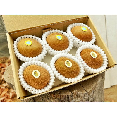 【ふるさと納税】掛川産カラフルキウイ2種6個セット 期間限定キウイフルーツカントリーJapan　5880【配送不可地域：離島・北海道・沖縄県・四国・九州】【1652679】