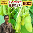 【ふるさと納税】希少な嘉麻ひすい 根付き 枝付き 生枝豆 約500g 福岡県 嘉麻市産 青大豆 キヨミドリ 年に1度 えだまめ えだ豆 おつまみ 冷蔵便 クール便 【2025年10月上旬～10月下旬に順次発送予定】